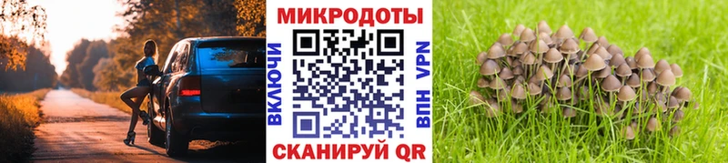 Галлюциногенные грибы Psilocybine cubensis  Купить  Чкаловск 